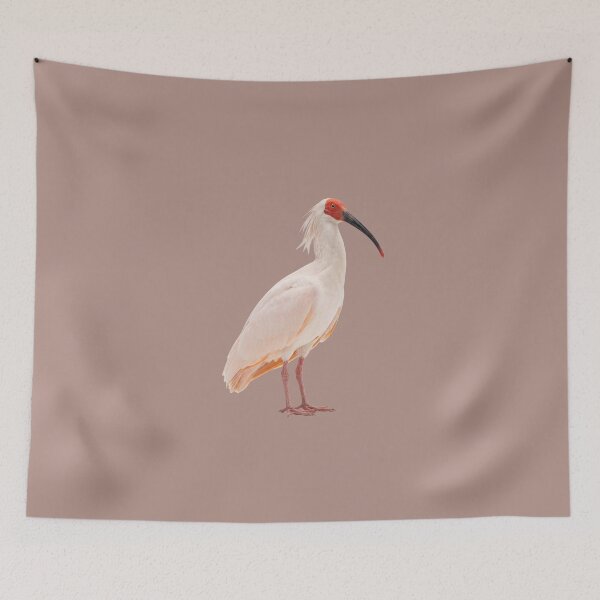 Item preview, Japanese Crested Ibis designed and sold by ArunDandiboina.