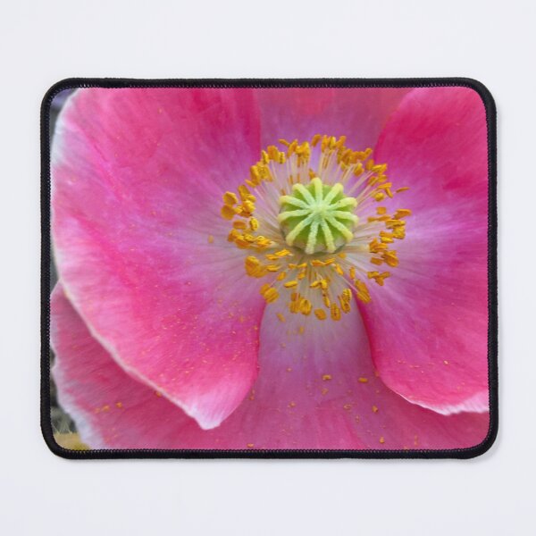 Item preview, Whisper of Dawn designed and sold by Betsy Phillips.