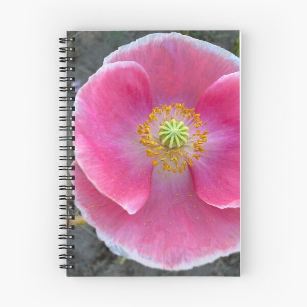 Item preview, Whisper of Dawn designed and sold by Betsy Phillips.