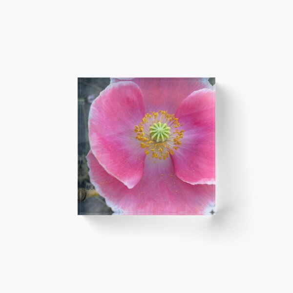 Item preview, Whisper of Dawn designed and sold by Betsy Phillips.