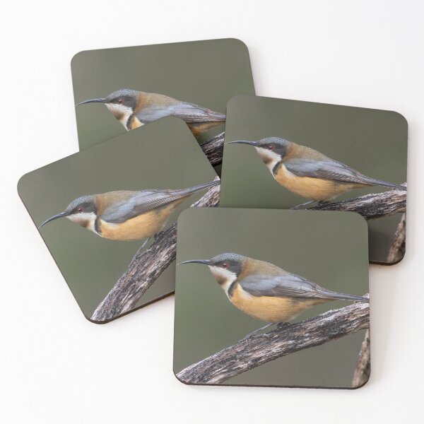 Item preview, Eastern Spinebill Melton designed and sold by David  Hibberd.