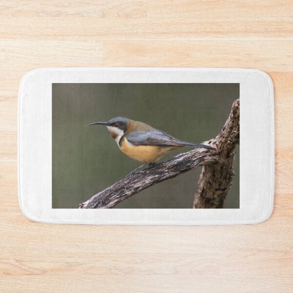 Item preview, Eastern Spinebill Melton designed and sold by David  Hibberd.