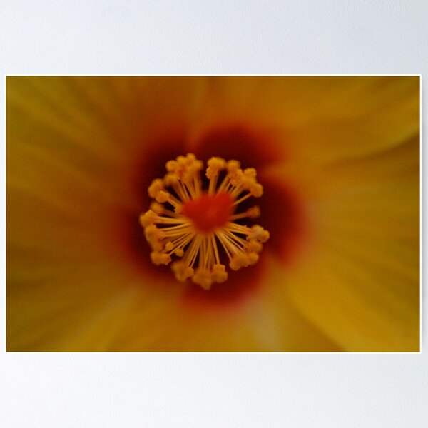 Item preview, Atomic Pollen designed and sold by BLAMB.