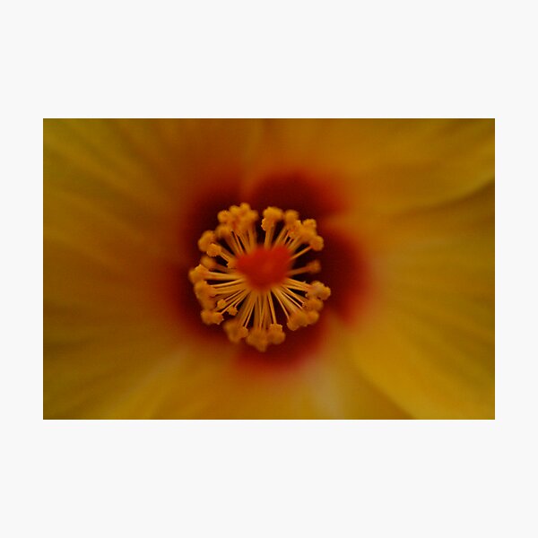 Item preview, Atomic Pollen designed and sold by BLAMB.