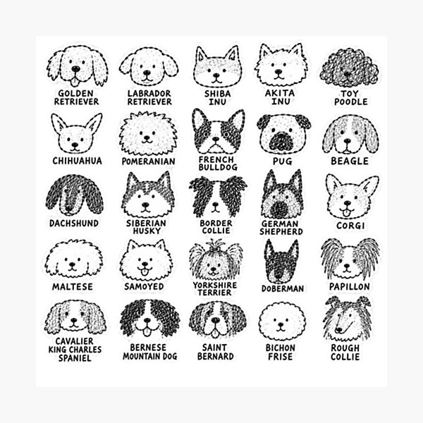 Artikelvorschau, Exemplar der 25 Dogs Collection! Schwarz-Weiß-Version. entworfen und verkauft von PontanuStore!.