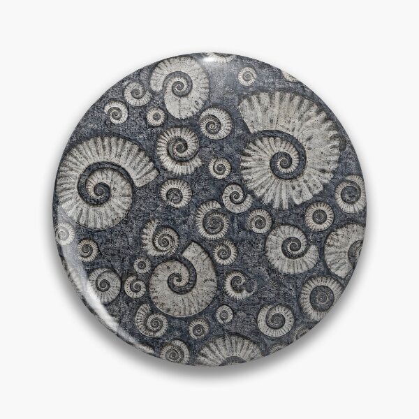 Item preview, Ammonite Fossils designed and sold by JacquiTaylorArt.