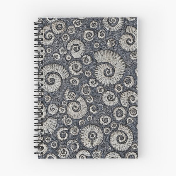 Item preview, Ammonite Fossils designed and sold by JacquiTaylorArt.