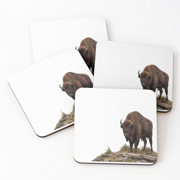 Item preview, Majestic European Bison | Realistic Wildlife Art | Bieszczady Nature designed and sold by JMDG Studio.
