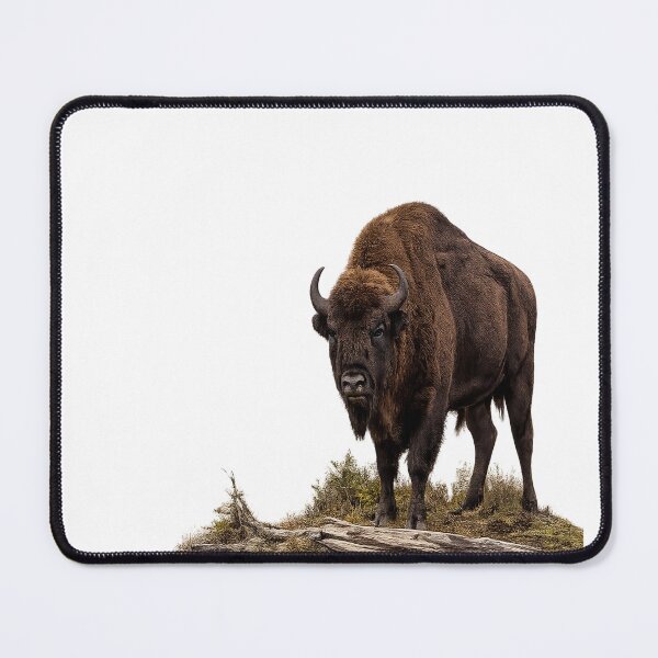 Artikelvorschau, Majestätischer Europäischer Bison | Realistische Wildtierkunst | Bieszczady Natur entworfen und verkauft von JMDG Studio.