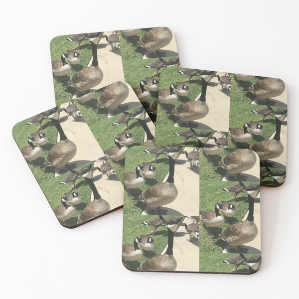 Item preview, Gathering of Canada Geese Real Photo designed and sold by KaleChub.