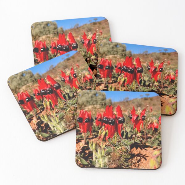 Item preview, Sturt Desert Peas, Far West NSW, Australia. July 2026.  designed and sold by Felicity McLeod.