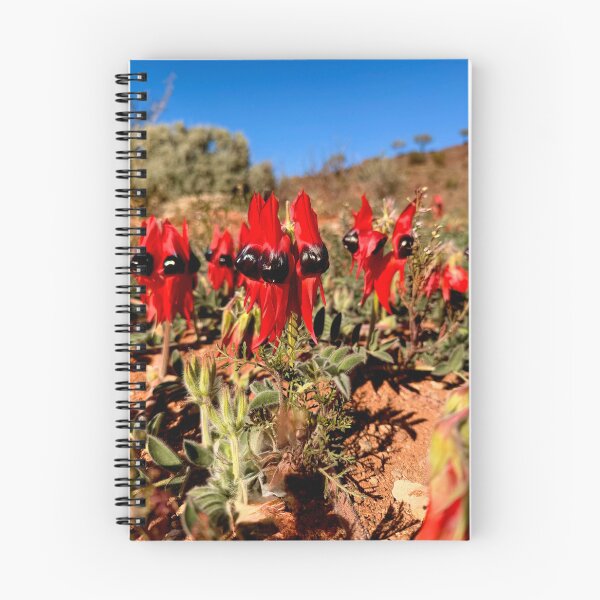 Item preview, Sturt Desert Peas, Far West NSW, Australia. July 2026.  designed and sold by Felicity McLeod.