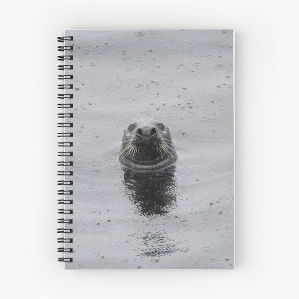 Item preview, Grey seal in rain storm designed and sold by wildlifephoto.