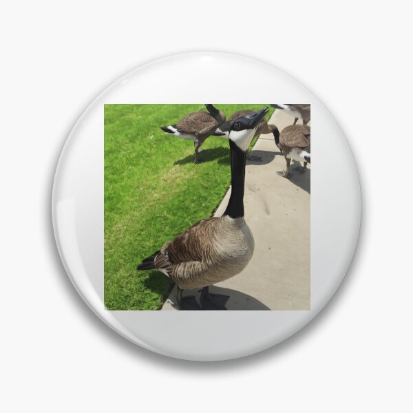 Item preview, Canada Geese Flock Fine Art Print designed and sold by KaleChub.