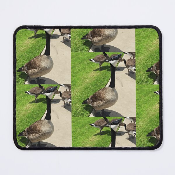 Item preview, Canada Geese Flock Fine Art Print designed and sold by KaleChub.