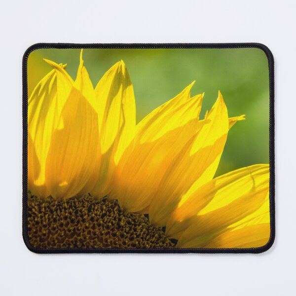 Item preview, Beautiful Sunflower Closeup designed and sold by MoePhotography.