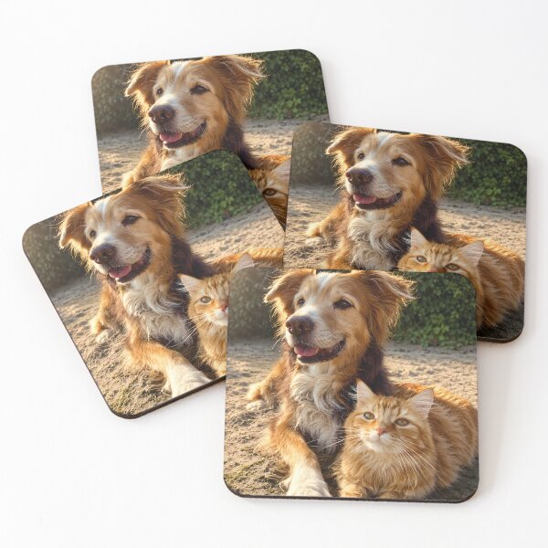 Item preview, Aussie Dog and Fluffy Ginger Cat Cuddled Together in Sunlight designed and sold by SellingWSarah17.