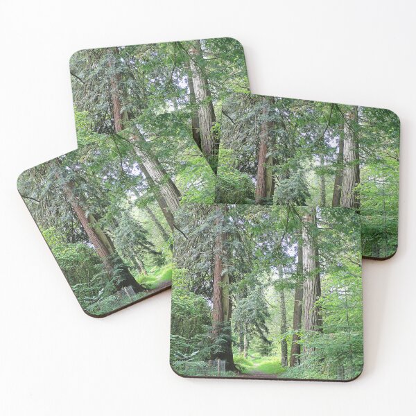 Item preview, Lush Woodland Path Through Ancient Tall Trees designed and sold by pinkal.