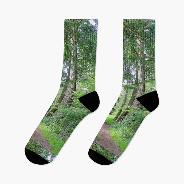 Item preview, Lush Woodland Path Through Ancient Tall Trees designed and sold by pinkal.