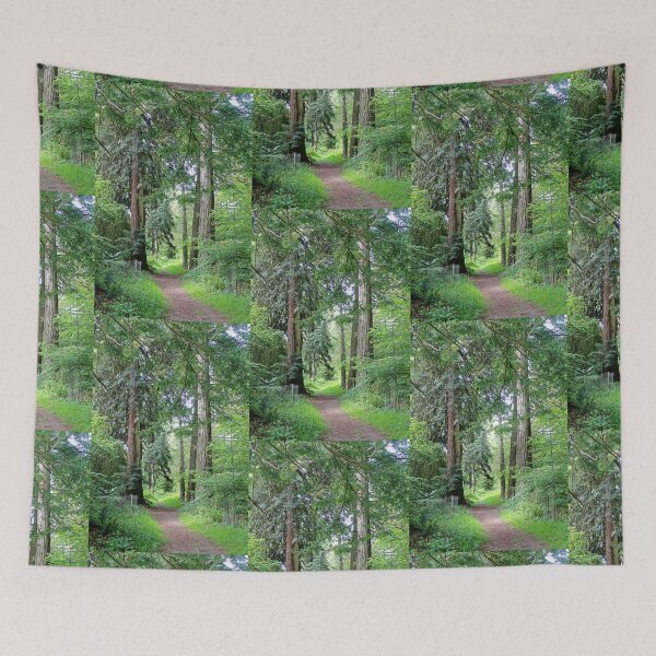 Item preview, Lush Woodland Path Through Ancient Tall Trees designed and sold by pinkal.