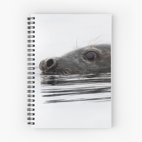 Item preview, Grey seal designed and sold by wildlifephoto.
