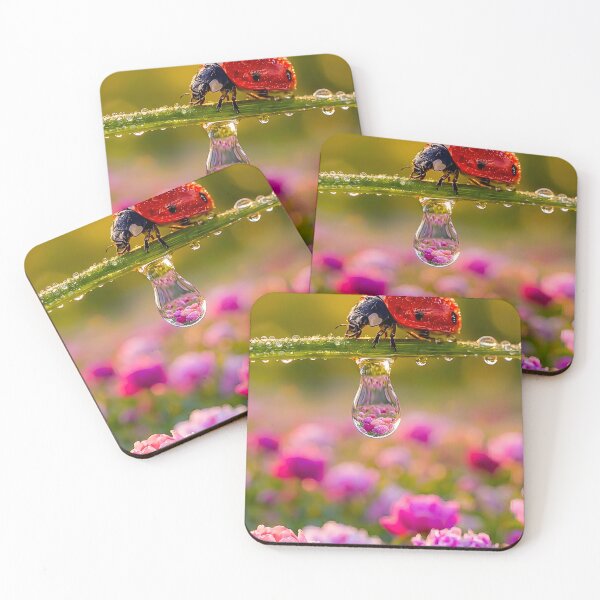 Item preview, Ladybug on a blade of grass with water droplets and flower reflection designed and sold by Fotografin1981.