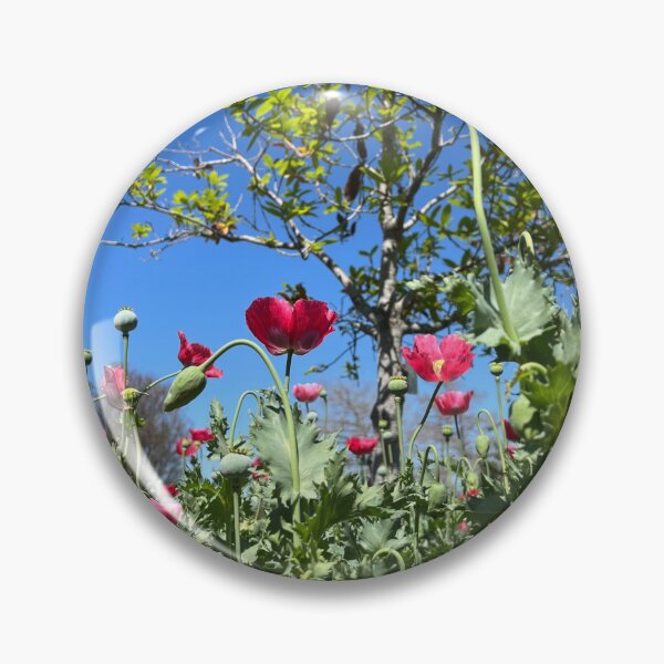 Item preview, Pink Flowers on a Sunny Day designed and sold by Catherine Kerr.