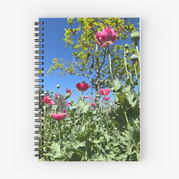 Item preview, Pink Flowers on a Sunny Day designed and sold by Catherine Kerr.