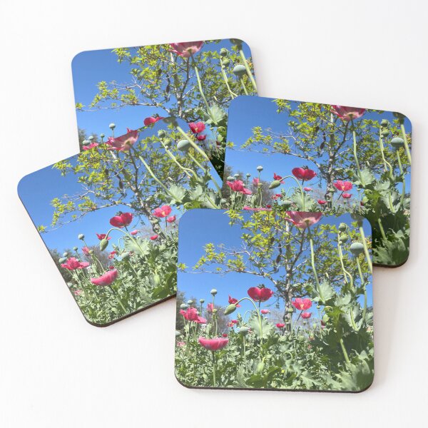 Item preview, Pink Flowers on a Sunny Day designed and sold by Catherine Kerr.