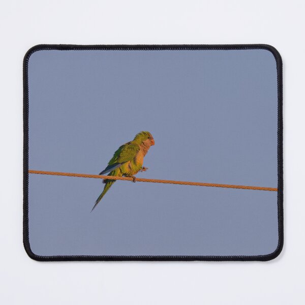 Item preview, Tightrope Walker  designed and sold by Ralph Goldsmith.