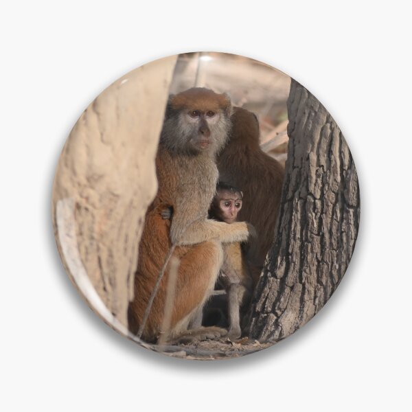 Item preview, Patas monkey Senegal designed and sold by JIM-AND-ME.