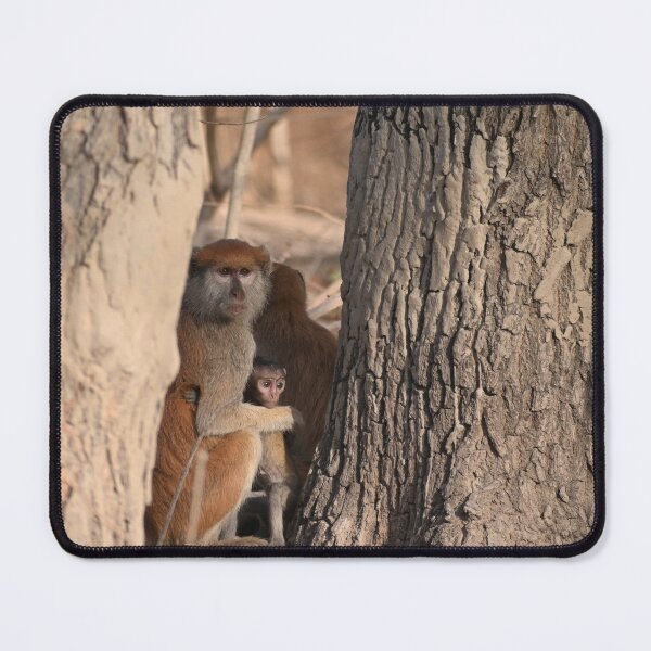 Item preview, Patas monkey Senegal designed and sold by JIM-AND-ME.