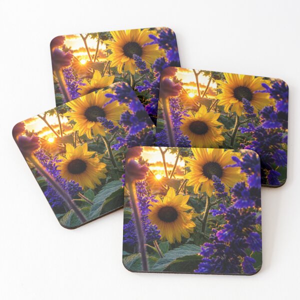 Item preview, Golden Sunflowers at Sunset | Purple Sage Garden Glow Nature Photography designed and sold by Kimberly Palmer.