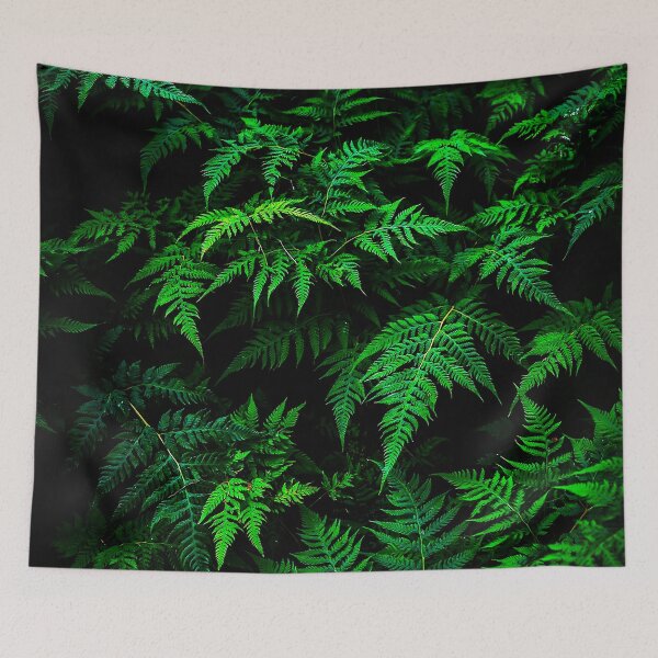 Item preview, Emerald Forest Ferns on Dark Botanical Background designed and sold by Exodoi.