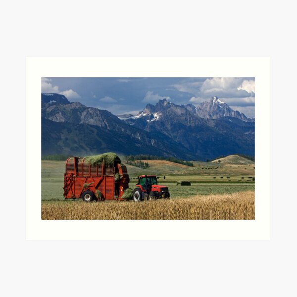 Making Hay, Shadow of the Tetons, Walton Ranch Art Print