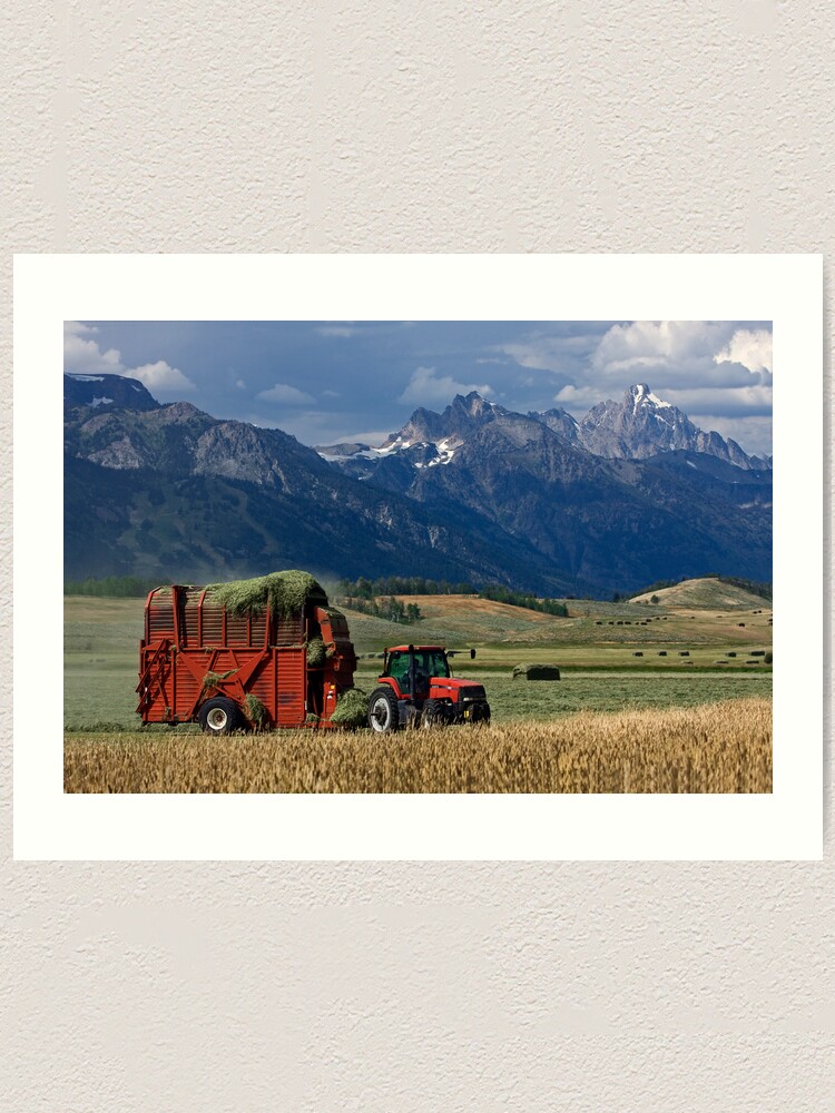 Alternate view of Making Hay, Shadow of the Tetons, Walton Ranch Art Print