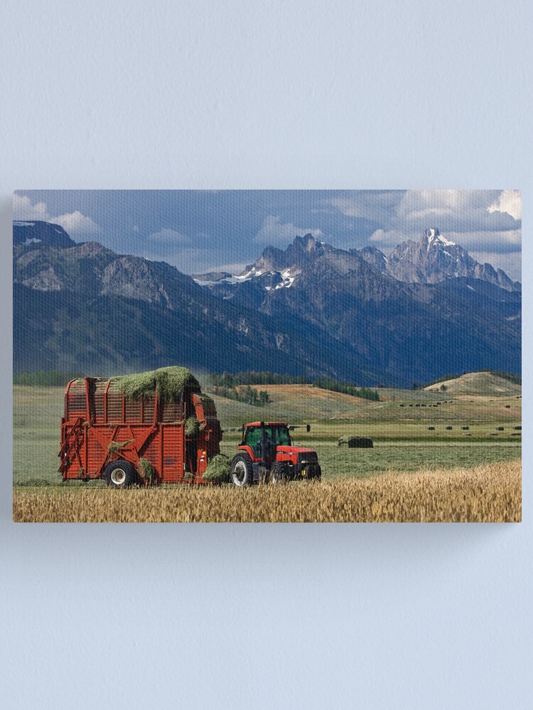 Alternate view of Making Hay, Shadow of the Tetons, Walton Ranch Canvas Print