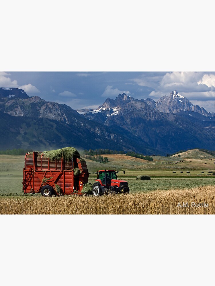 Making Hay, Shadow of the Tetons, Walton Ranch by annruttle