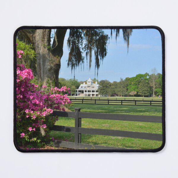 Item preview, Magnolia Plantation Gardens Entrance designed and sold by LisaWootenPhoto.