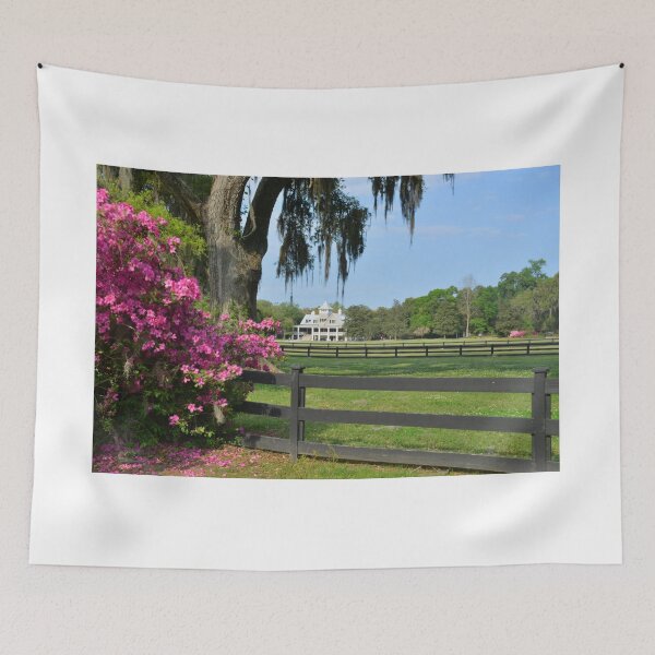 Item preview, Magnolia Plantation Gardens Entrance  designed and sold by LisaWootenPhoto.