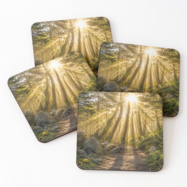 Item preview, Golden Sunbeams Through a Peaceful Forest Trail designed and sold by Wild Bloom Paws.