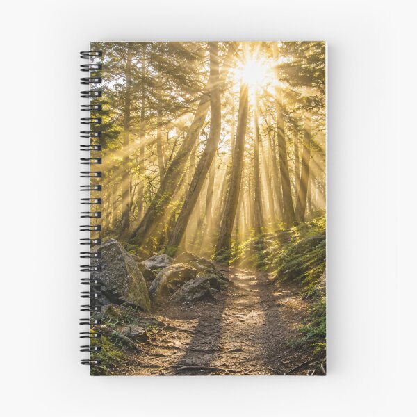 Item preview, Golden Sunbeams Through a Peaceful Forest Trail designed and sold by Wild Bloom Paws.