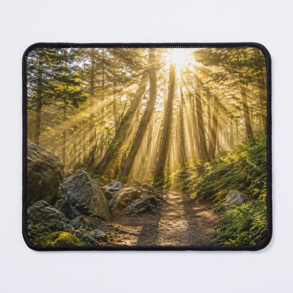 Item preview, Golden Sunbeams Through a Peaceful Forest Trail designed and sold by Wild Bloom Paws.