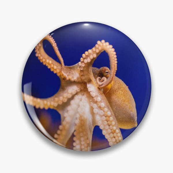 Item preview, Octopus designed and sold by timmyschmidt92.