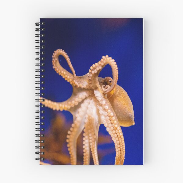 Item preview, Octopus designed and sold by timmyschmidt92.