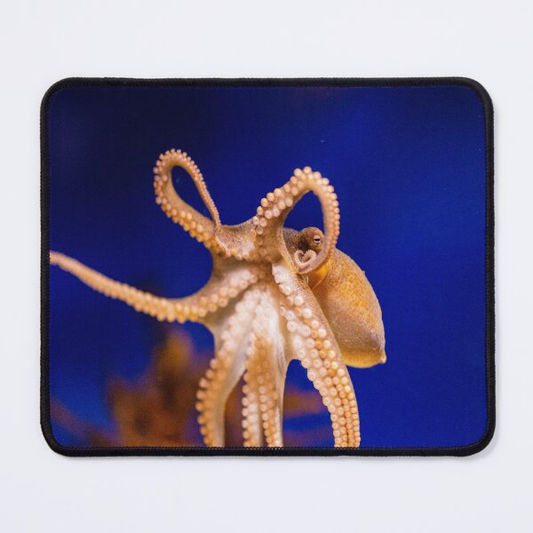 Item preview, Octopus designed and sold by timmyschmidt92.