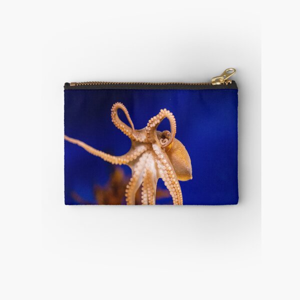 Item preview, Octopus designed and sold by timmyschmidt92.