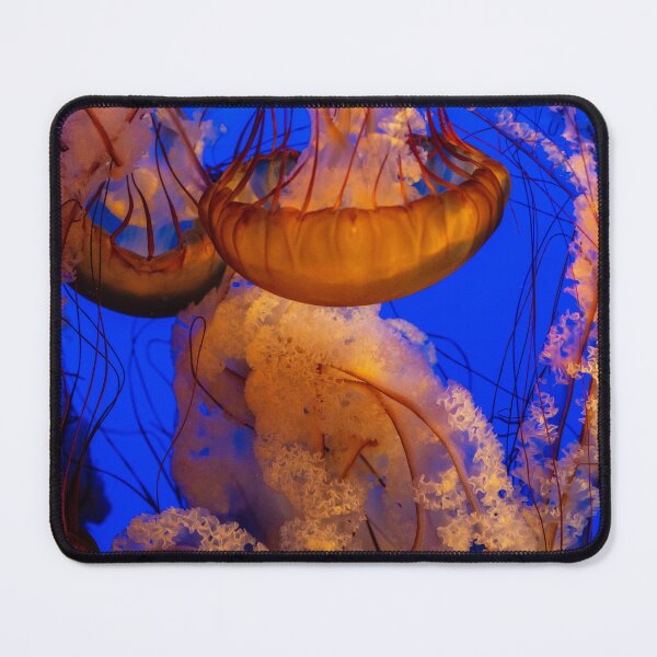 Item preview, Jellyfish designed and sold by timmyschmidt92.