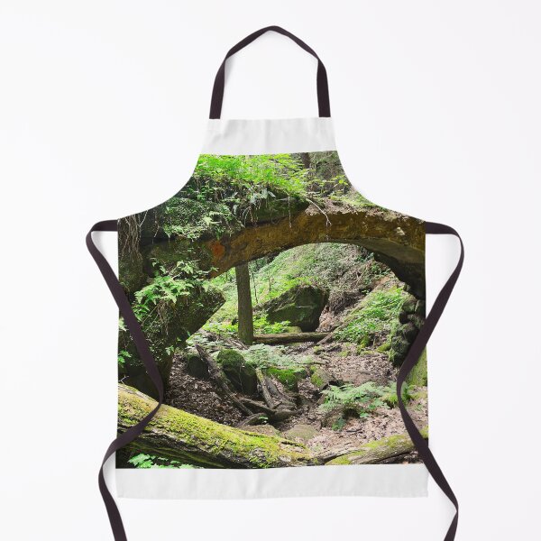 Item preview, Ancient Stone Bridge At Rock House Hocking Hills OH designed and sold by LisaWootenPhoto.