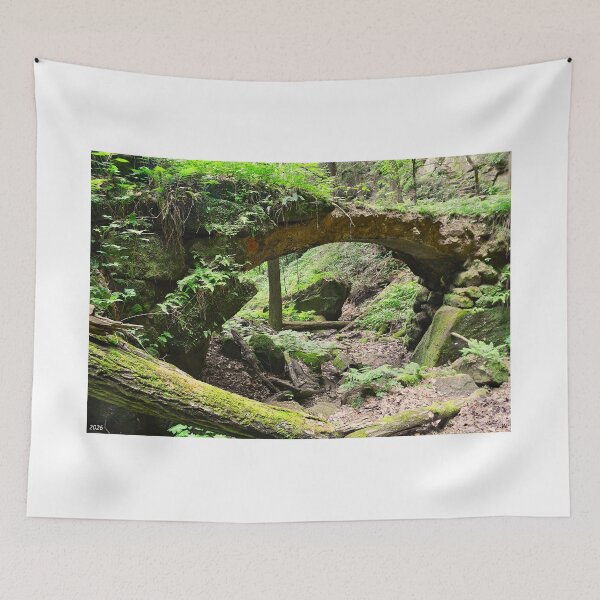 Item preview, Ancient Stone Bridge At Rock House Hocking Hills OH designed and sold by LisaWootenPhoto.
